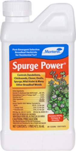 6 Best Selective Herbicide For Spurge Weed 2020 Best Sellers 7403