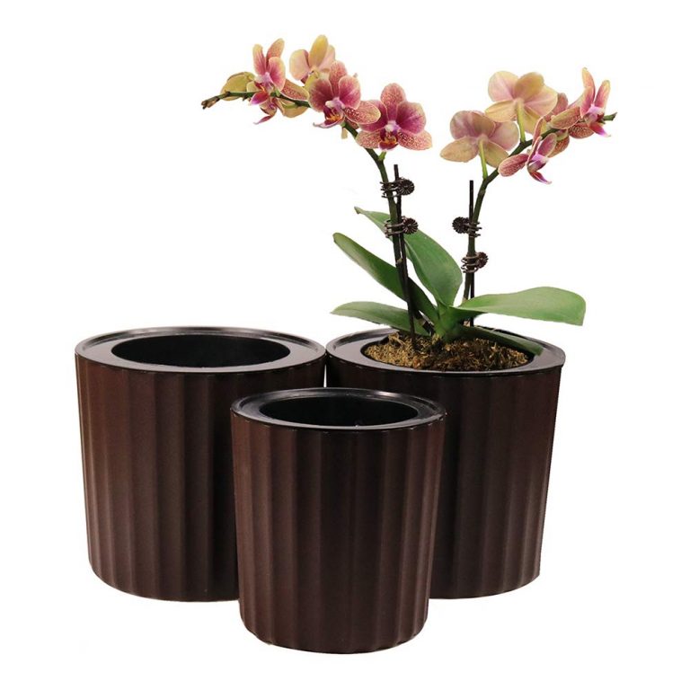 6 Best Pot For an Orchid 2020 Buyer's Guide