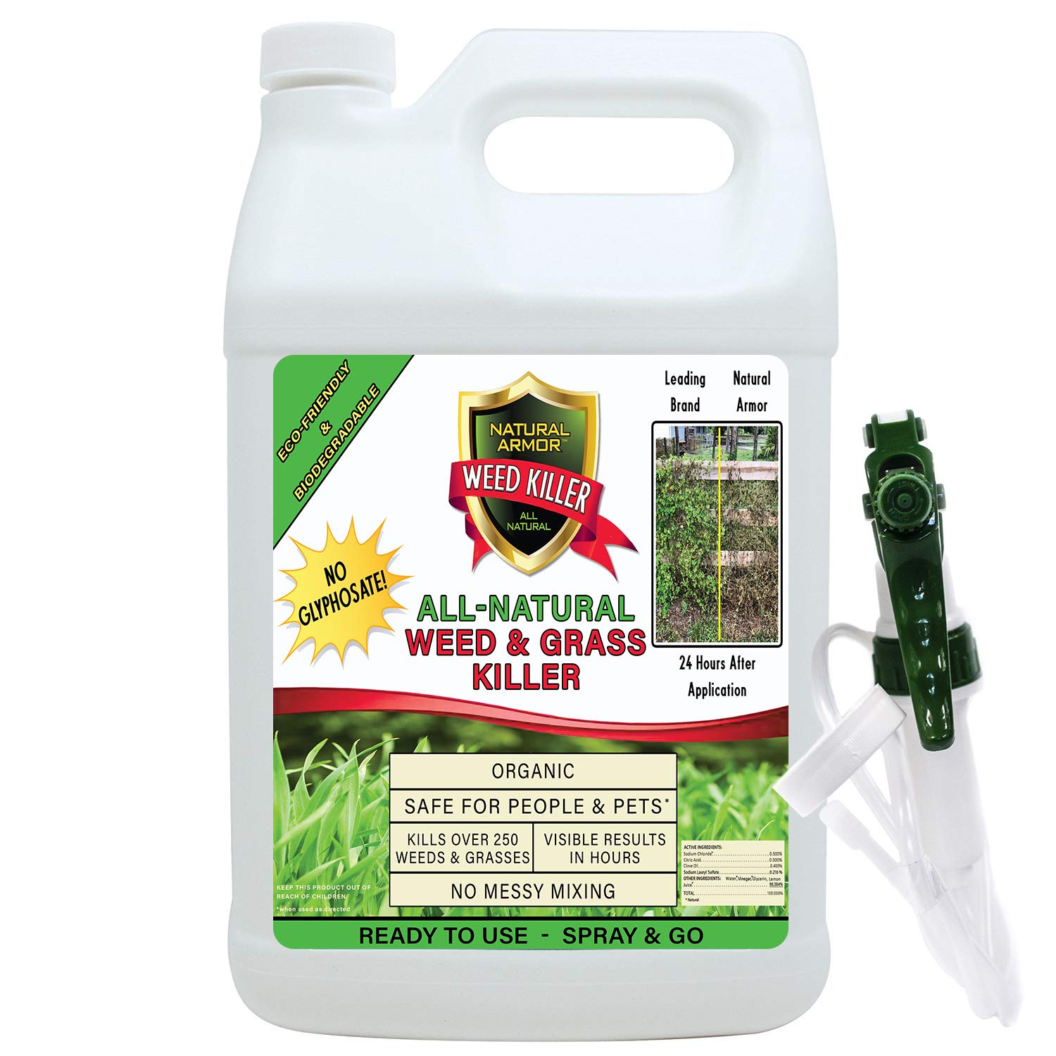 Best Natural Weed Killer For Lawns at Donna Osvaldo blog