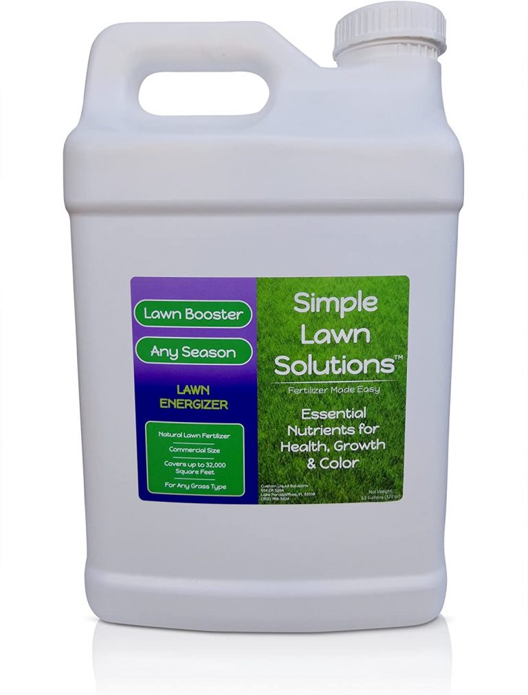 11 Best Zoysia Grass Fertilizer 2020 [Guide - Reviews] - Best Garden ...